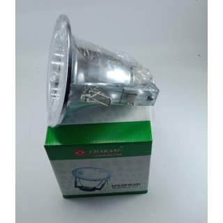 DOWNLIGHT 4 INCH